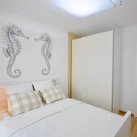 Rezulak Solna B104 204 303 *