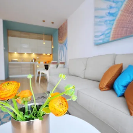 Rezulak Solna B104 204 303 *