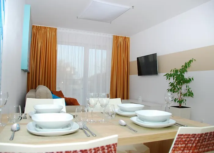 Rezulak Solna B104 204 303 * 코워브제크